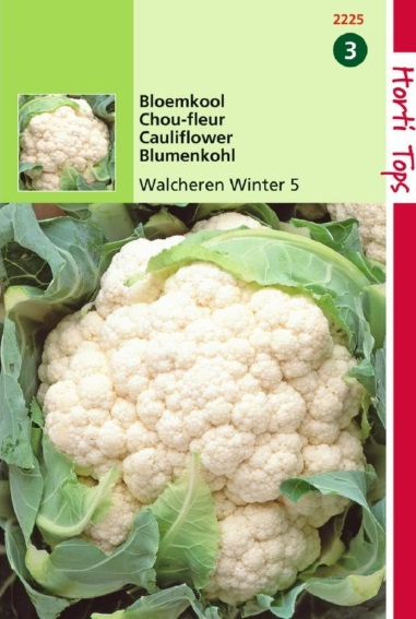 Bloemkool Walcheren Winter 5 (Brassica) 150 zaden HT